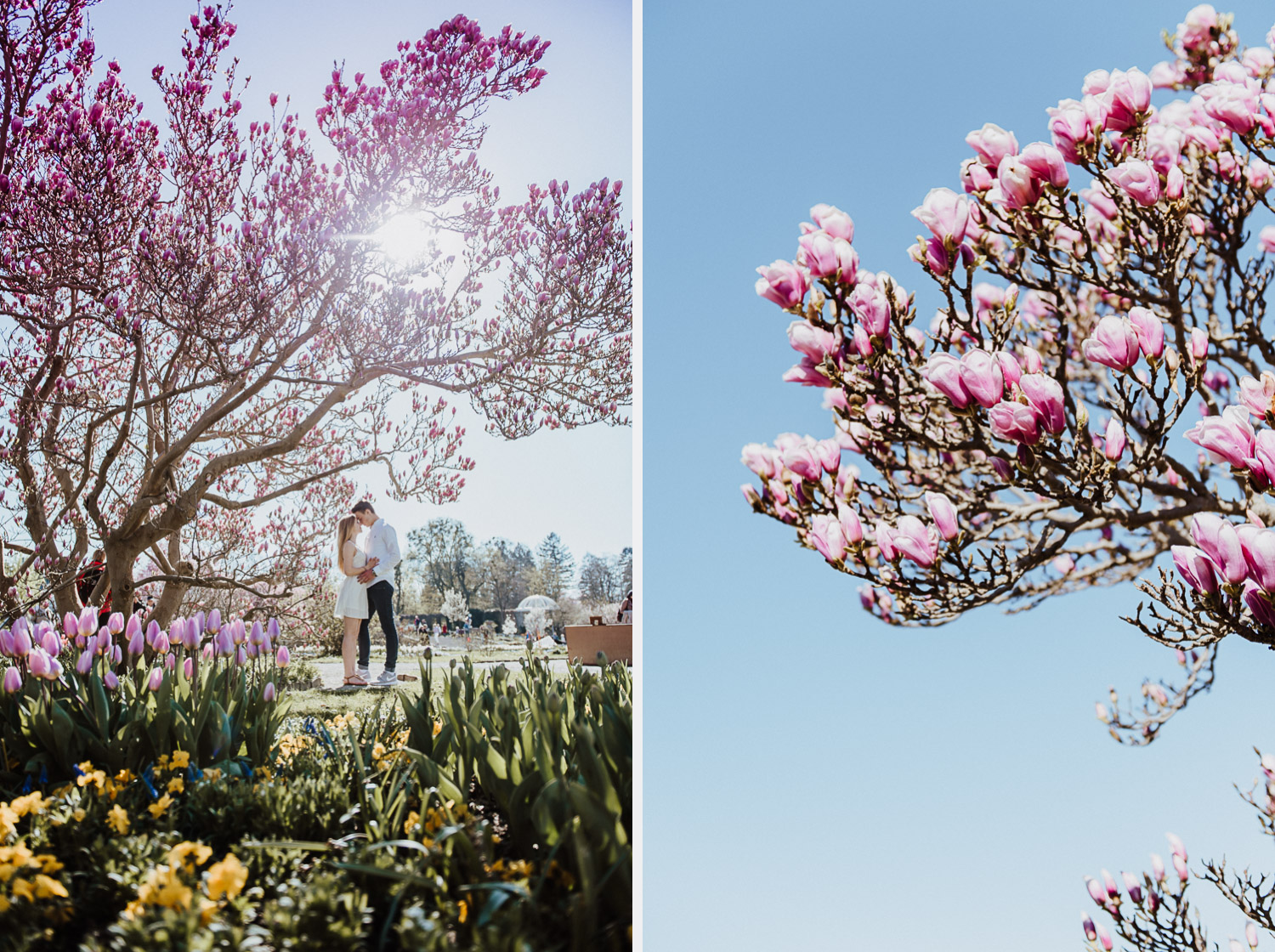 Blog_VV_Fruehling_06 - (C) Lichtmädchen Fotografie Nicki Schäfer