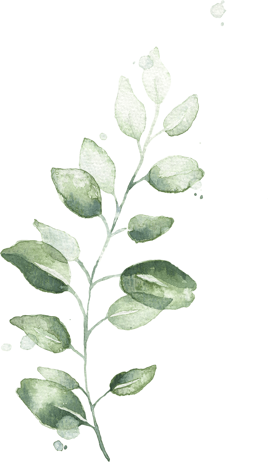 watercolor_leaves_17 - (C) Lichtmädchen Fotografie Nicki Schäfer